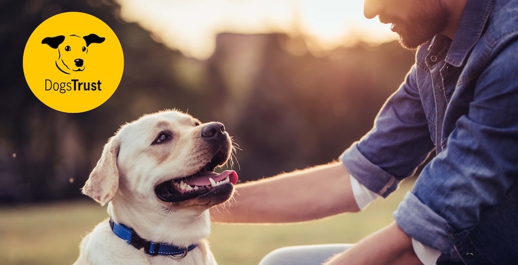 Kingdom joins the pack with pet-friendly accreditation from Dogs Trust